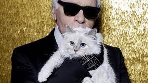 Choupette, la gata de Karl Lagerfeld, ha sido invitada a la Met Gala 2023