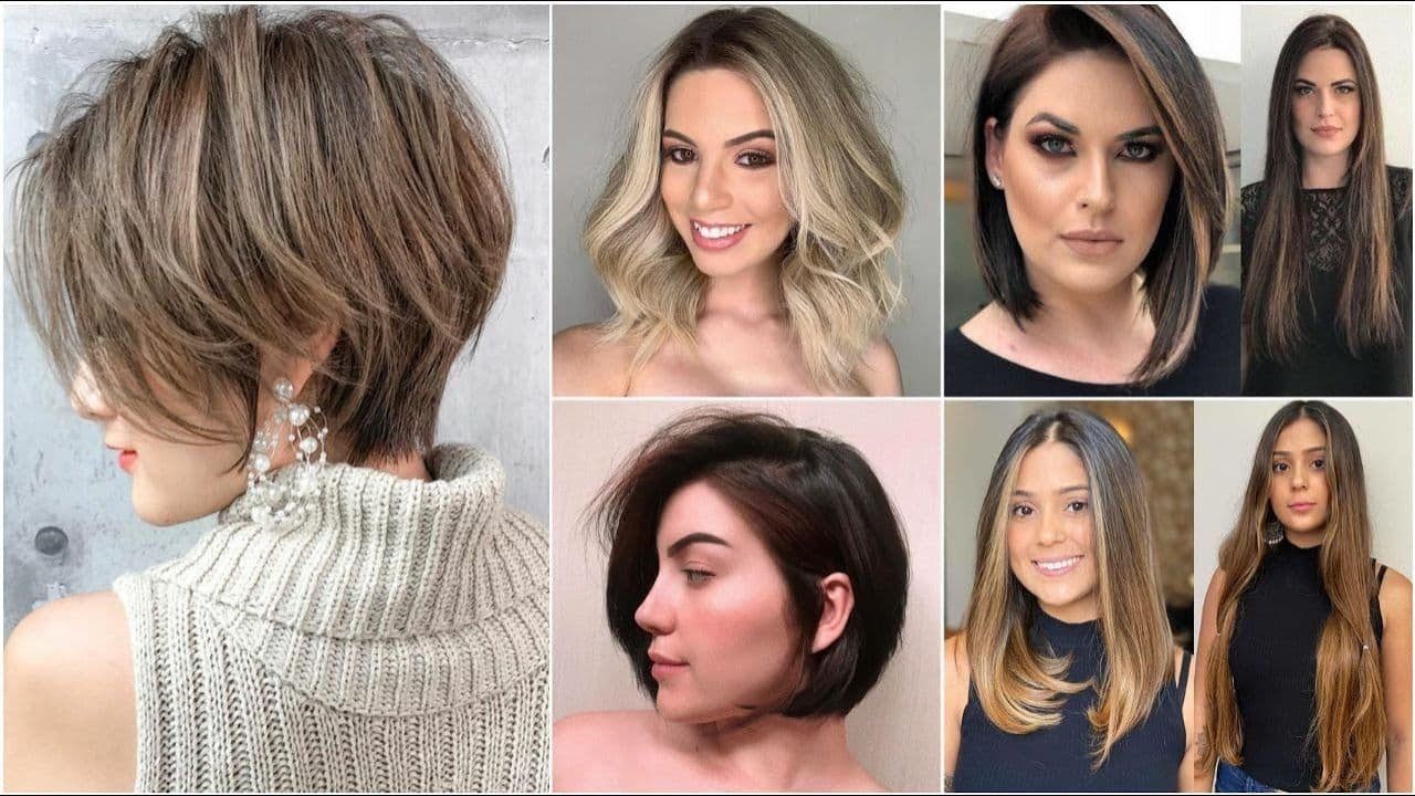 #ViernesdeEstilo el 2024 llega con nuevas tendencias para nuestras melenas