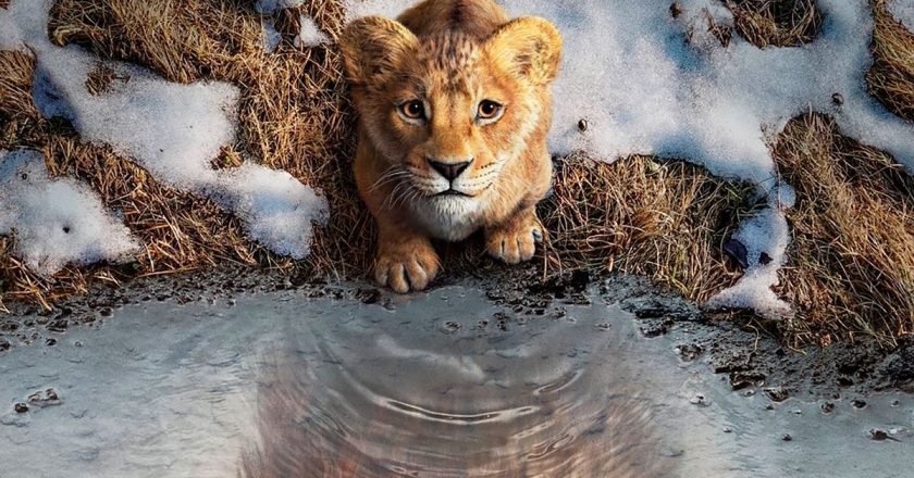 Mufasa: Origen de la leyenda de la selva