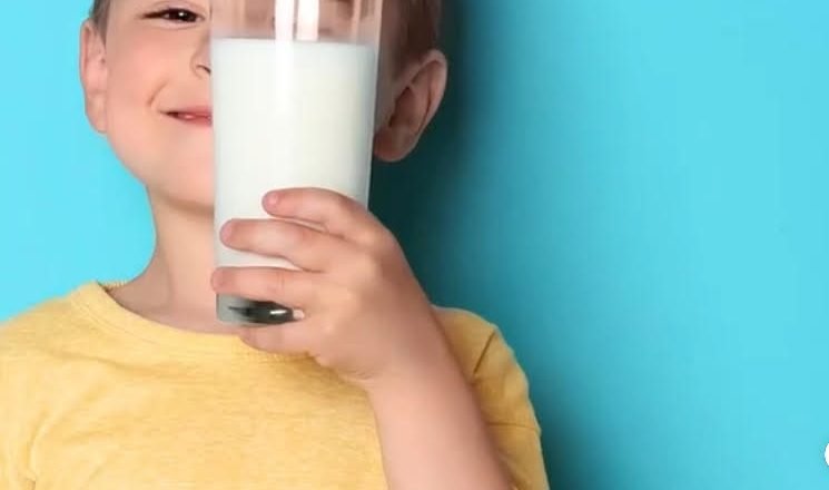 BEBIDA LACTEA MONTAÑA FRESCA: UNA ECONÓMICA Y NUTRITIVA OPCIÓN ALIMENTICIA