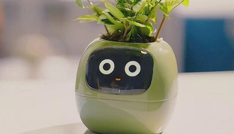 Ivy : La Maceta Inteligente que Conecta Emocionalmente con Tus Plantas
