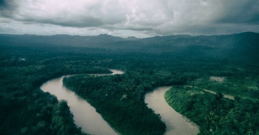 Cinco Curiosidades sobre El Darién: La Joya Natural Entre Colombia y Panamá