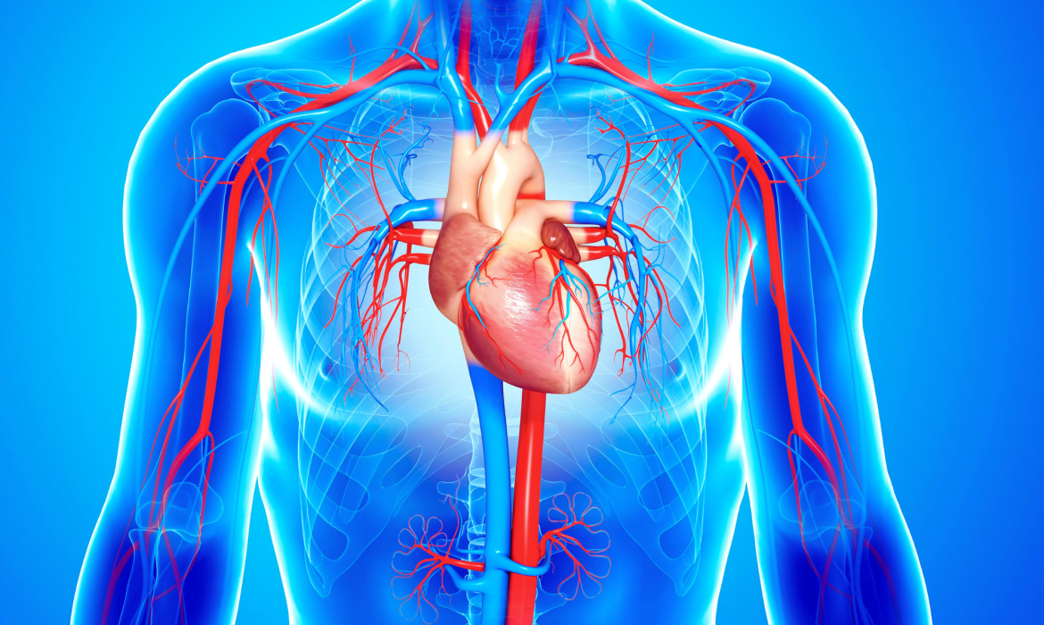 Los riesgos cardiovasculares en personas jóvenes