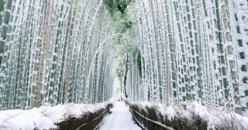 Un recorrido por los lugares más surrealista del Planeta