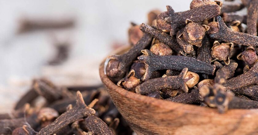 El clavo de olor: La especia milenaria que revoluciona la medicina natural 