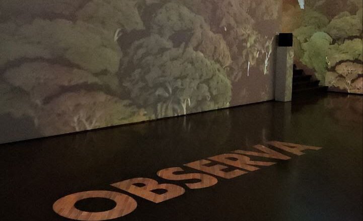 Centro Cultural de Arte Moderno CCAM – Semana del 7 al 14 de abril de 2026