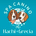 El legado de amor detrás de Hachi & Grecia Spa y Guardería Canina