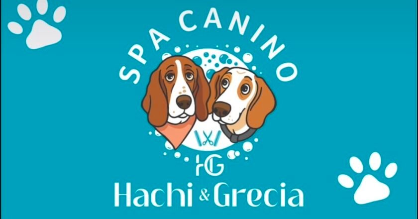 El legado de amor detrás de Hachi & Grecia Spa y Guardería Canina
