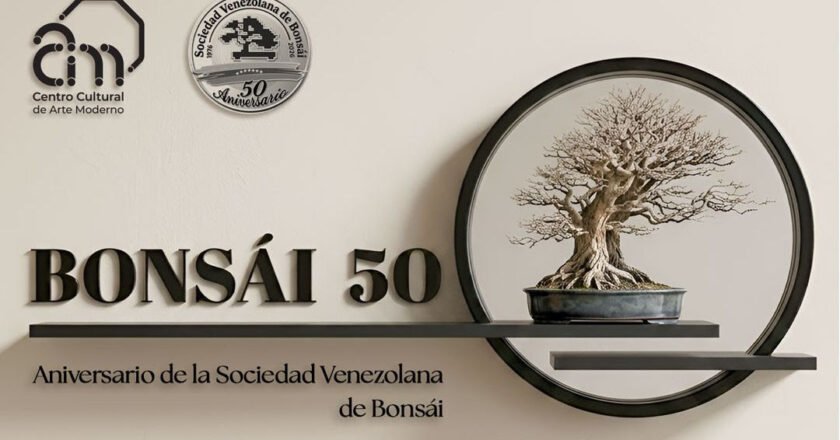 BONSÁI 50: Arte ancestral y vanguardia tecnológica  se conjugan en el CCAM